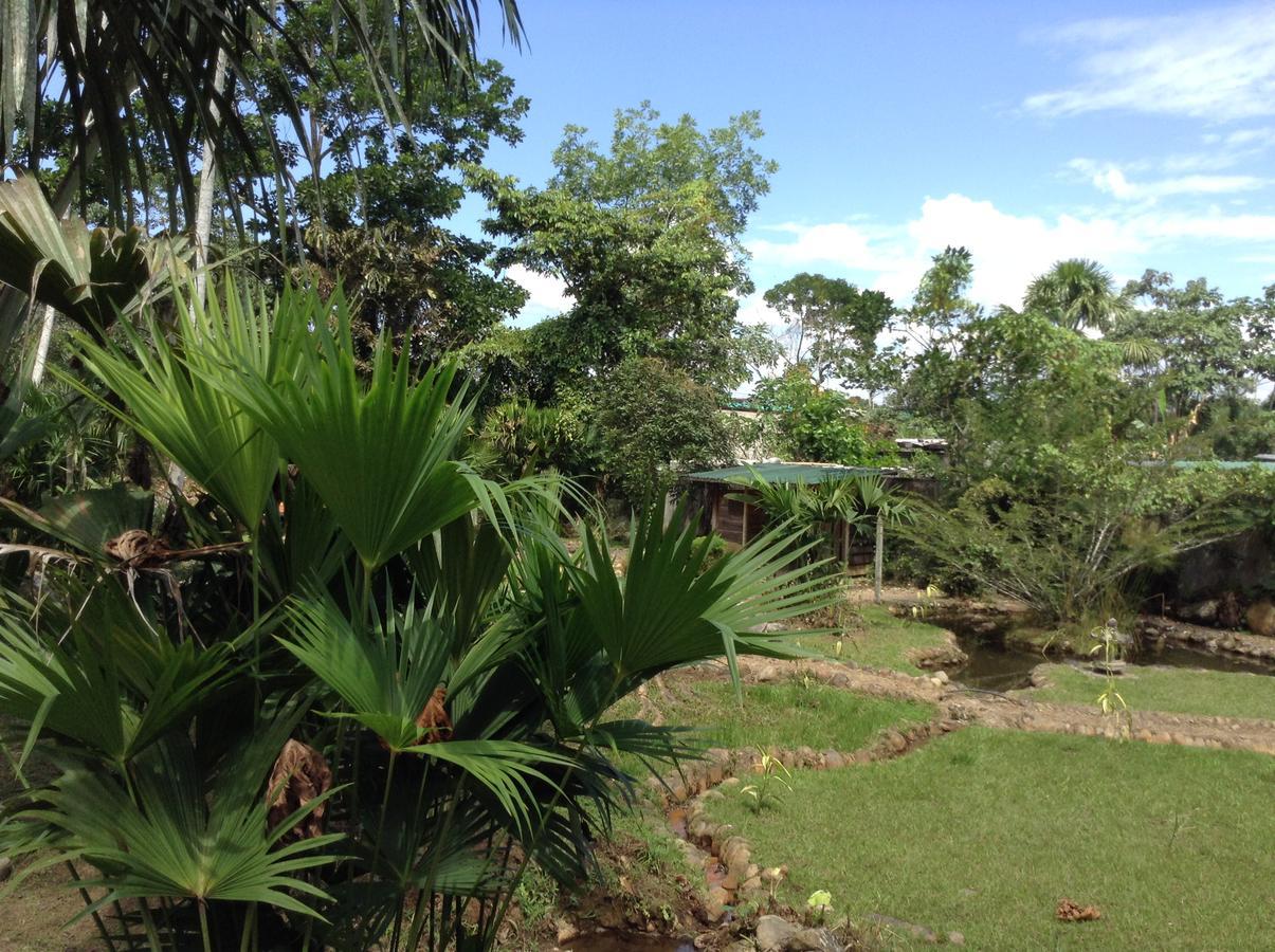 Wisdom Garden Hotel Tena Buitenkant foto