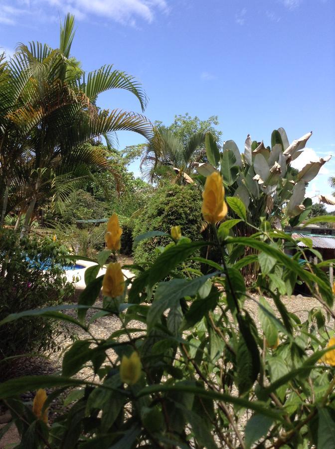 Wisdom Garden Hotel Tena Buitenkant foto