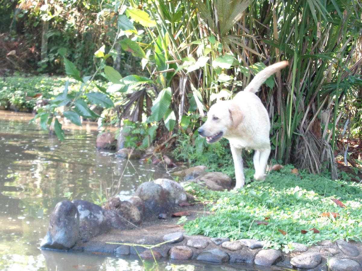 Wisdom Garden Hotel Tena Buitenkant foto