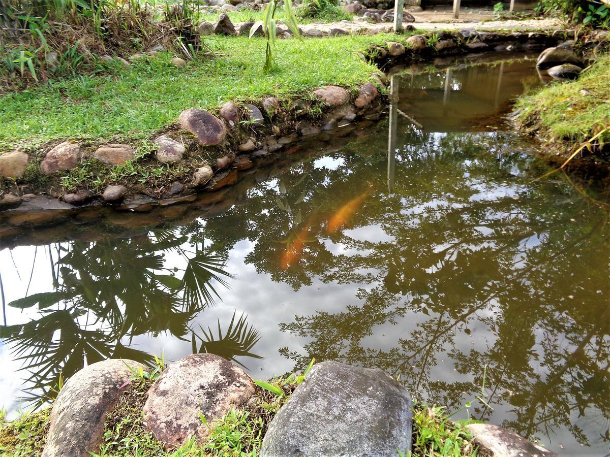 Wisdom Garden Hotel Tena Buitenkant foto