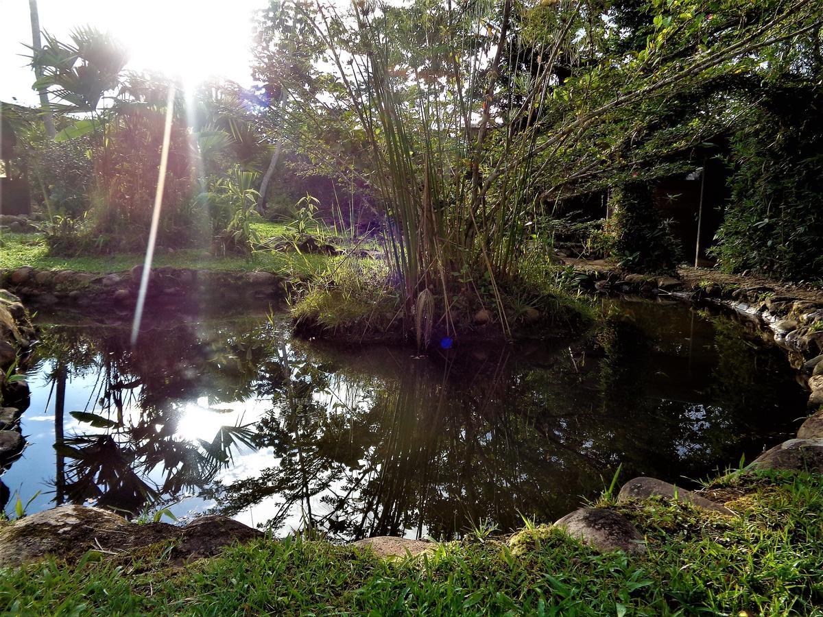 Wisdom Garden Hotel Tena Buitenkant foto