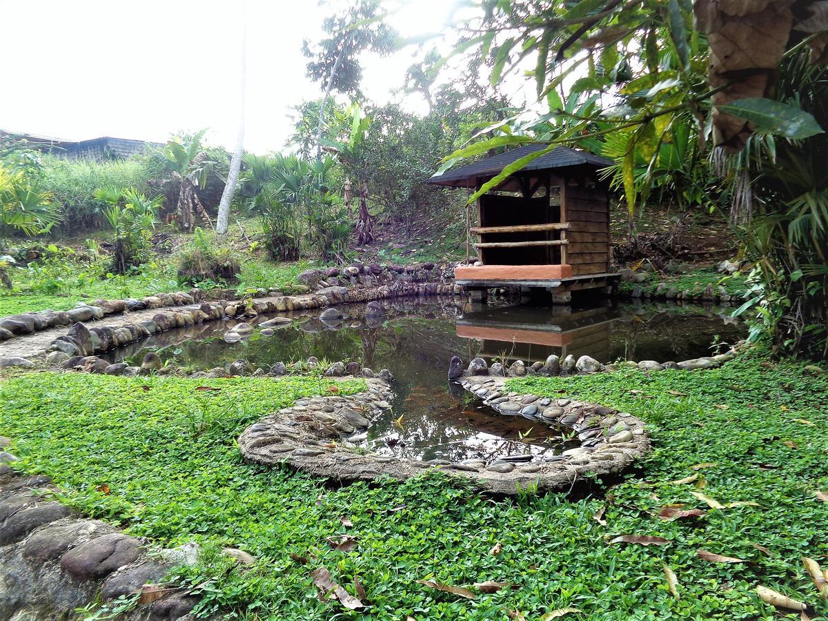 Wisdom Garden Hotel Tena Buitenkant foto